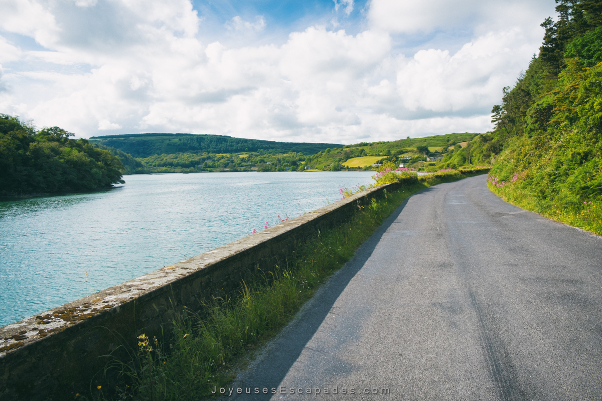 voyager en irlande en van