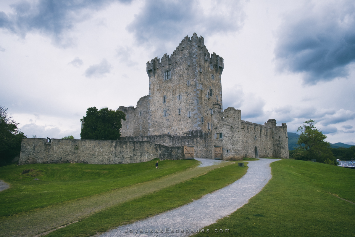 voyager en irlande en van