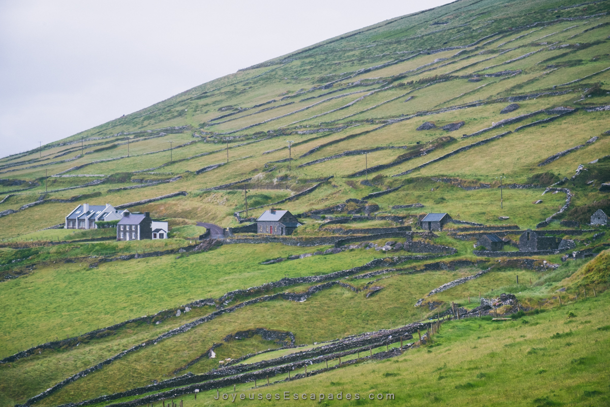 voyager en irlande en van