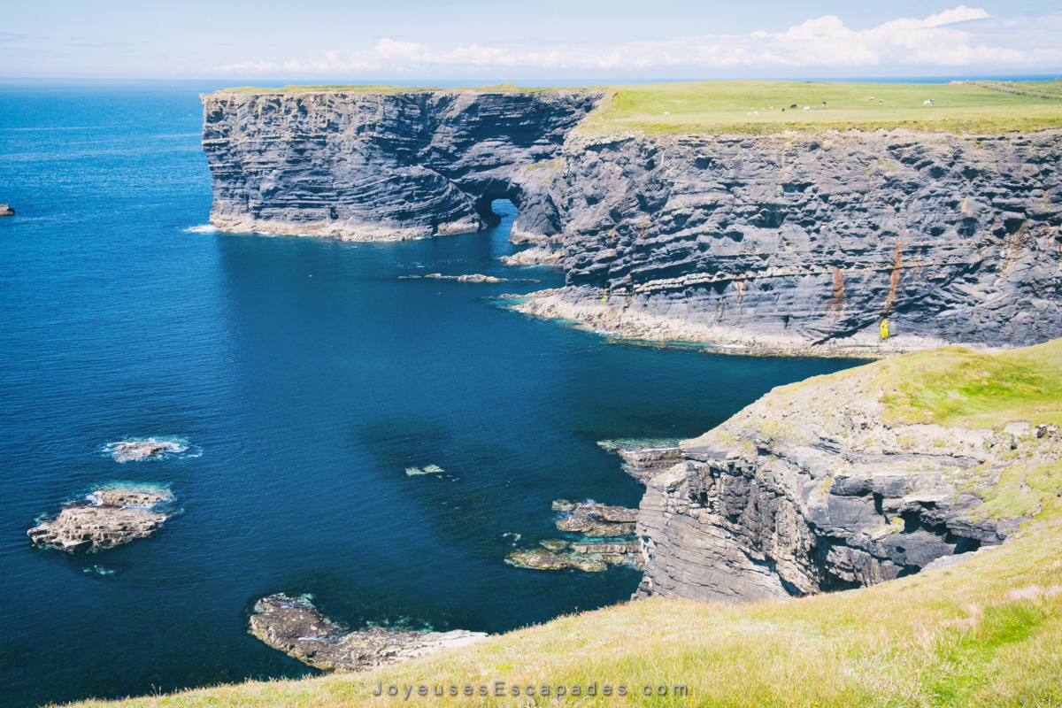 voyager en irlande en van