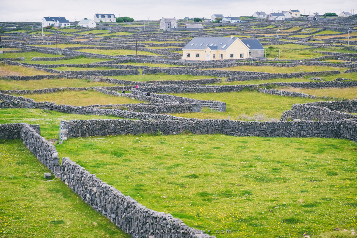 voyager en irlande en van